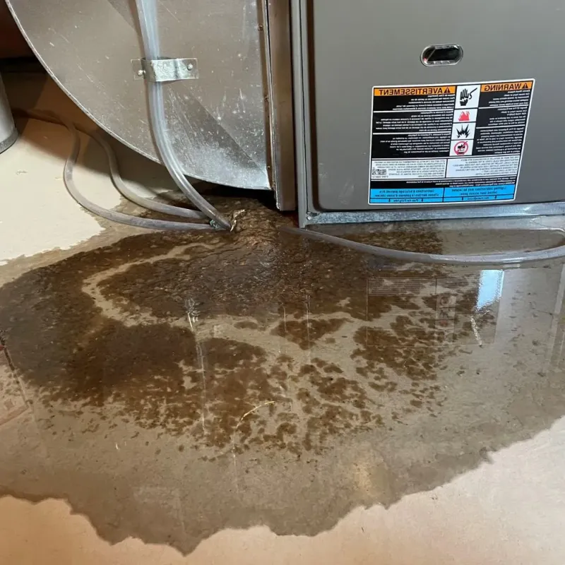 Pipe Burst and Leak Restoration in Magnolia, AR